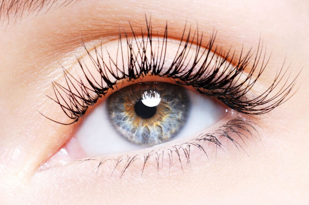 Wimperlift LaSarel Helmond